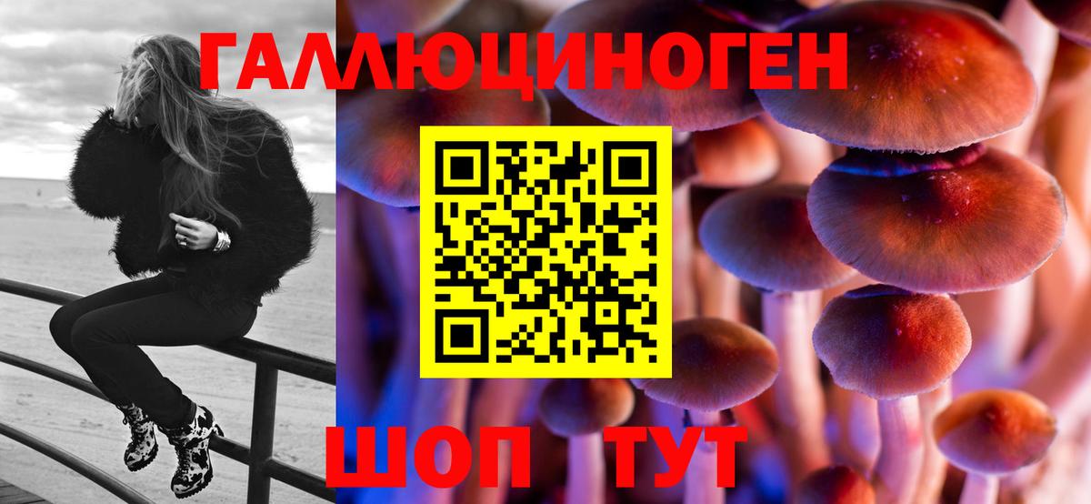 Галлюциногенные грибы GOLDEN TEACHER  Вход с VPN  Чебоксары 